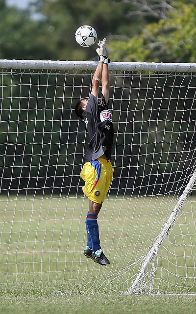 他的职业生 他的职业生