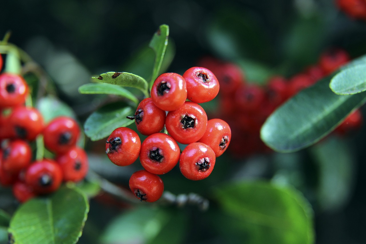 出色的稳定 出色的稳定