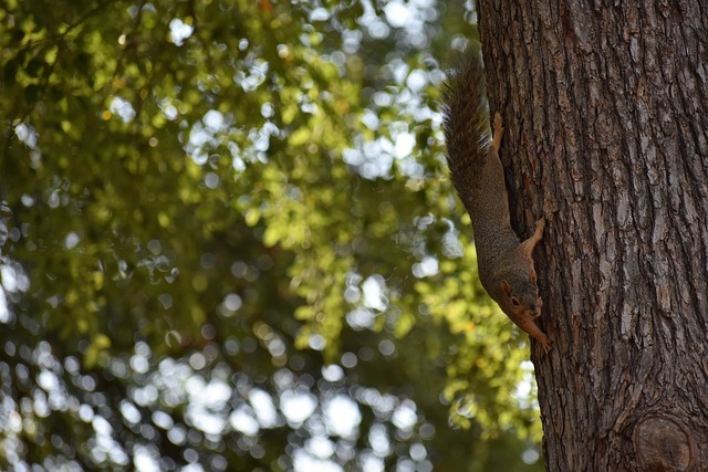 勇士的防守 勇士的防守