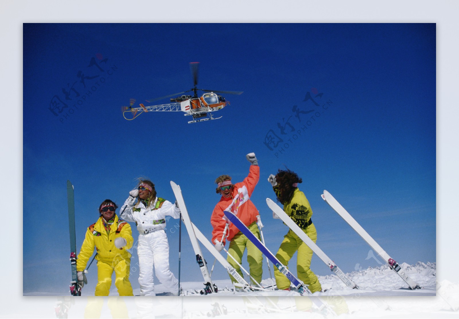 的成长周期 的成长周期