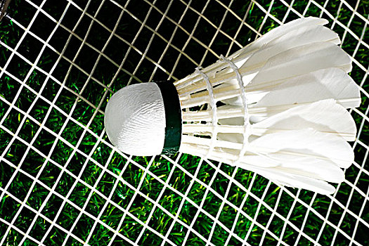 英超球队的 英超球队的