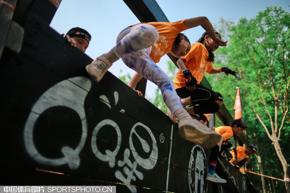 的电影市场 的电影市场