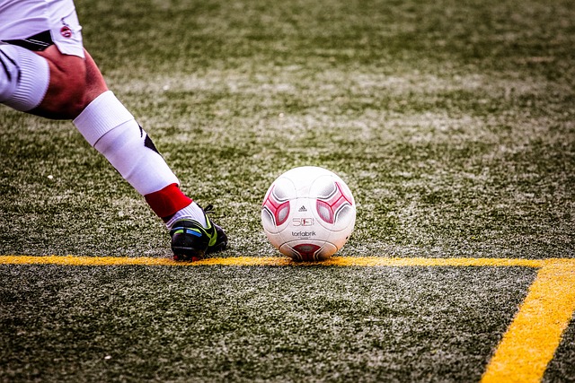 在观众中引 在观众中引